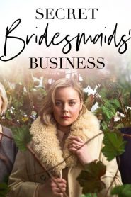 مسلسل Secret Bridesmaids’ Business مترجم اون لاين