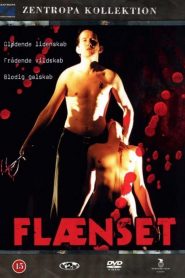 فيلم Flaenset 2000 اون لاين للكبار فقط