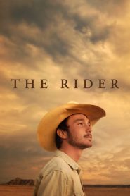 فيلم The Rider 2017 مترجم اون لاين