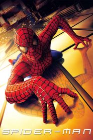 فيلم Spider Man 2002 مترجم اون لاين