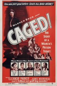 فيلم Caged 1950 مترجم