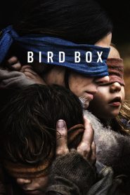 فيلم Bird Box 2018 مترجم اون لاين